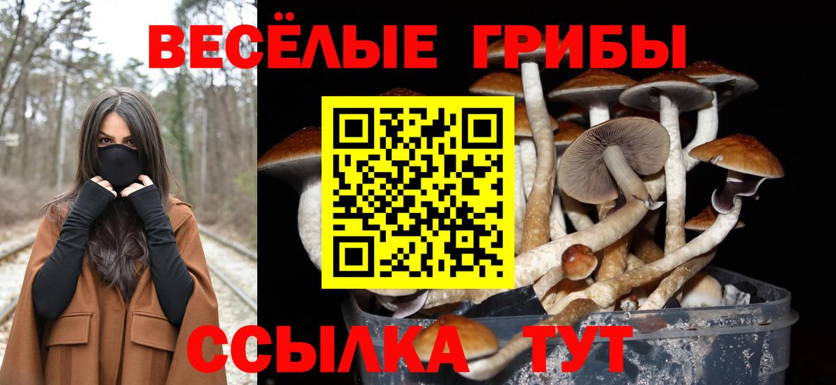 Галлюциногенные грибы MAGIC MUSHROOMS Вязники